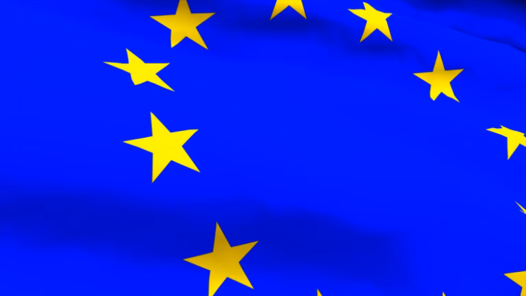 De vill bli din röst i EU-parlamentet