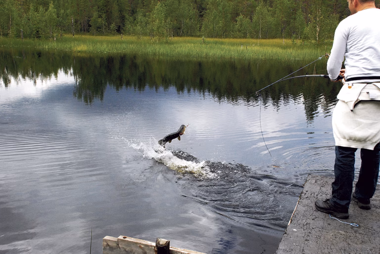 Fritidsfisket omsätter miljarder