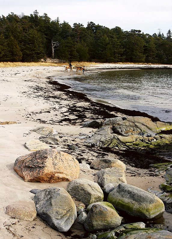 Vackra lugna Ålö lockar turister