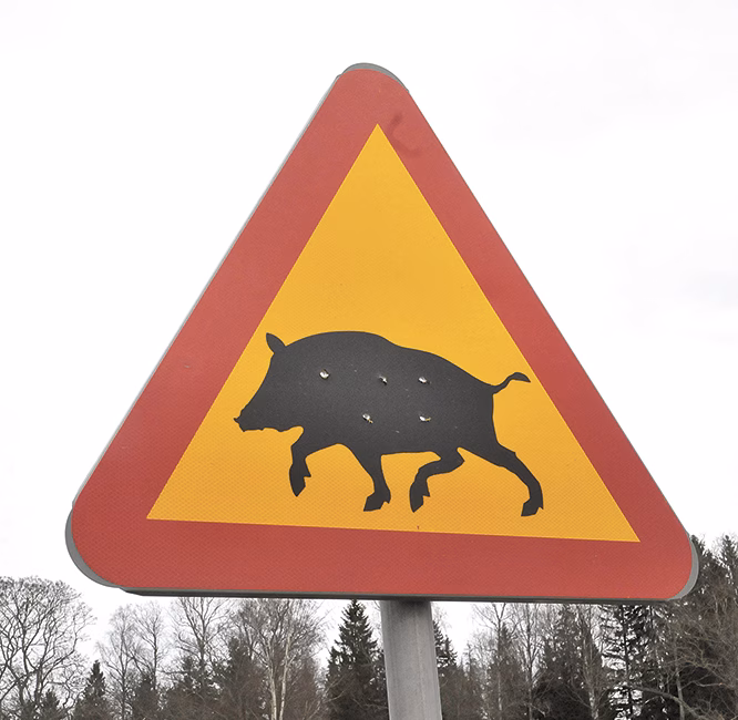 Kraftig ökning av viltolyckor på Dalarövägen