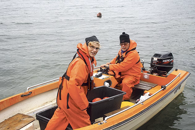 Fiskefredning gynnar gösen