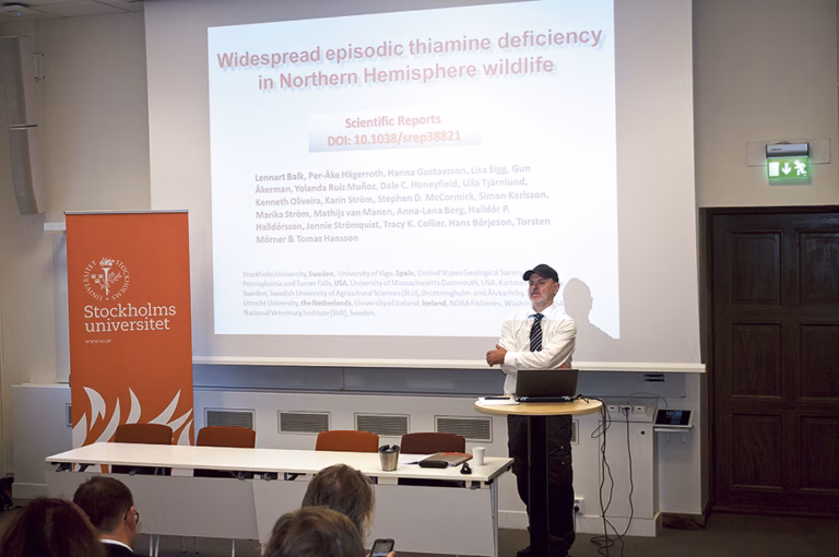 Vitaminbrist kan förklara massdöd