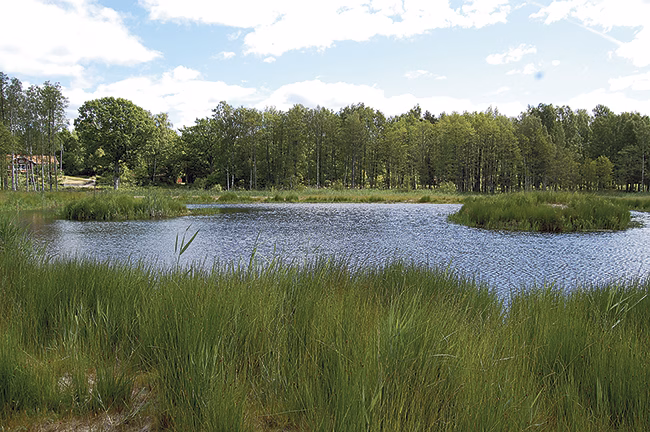 Rekordsummor satsade på fiskevård