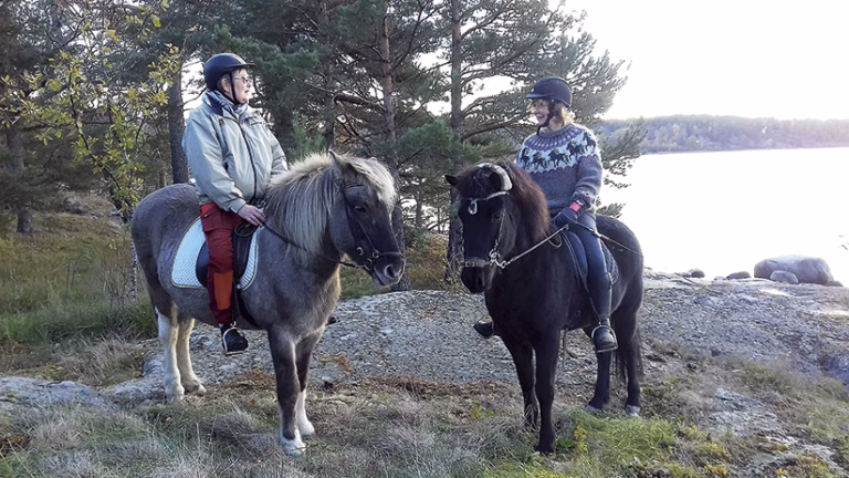 Hästlivet och naturen lockar allt fler till Värmdö