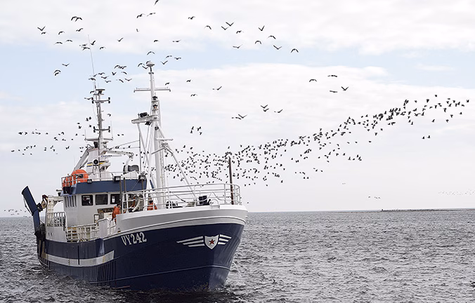 Fiskareförening kräver trålförbud i Ålandshav