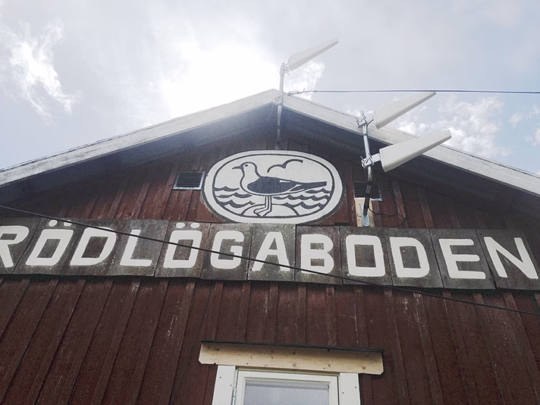 Två veckor efter Telias nedsläckning – många oroliga för telefonin