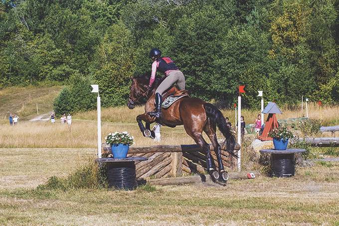 Arbottna Horse Show fortsätter växa