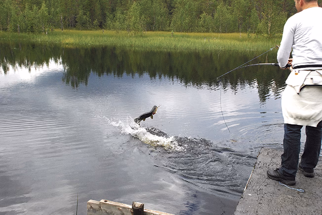Nya fiskeregler på remiss