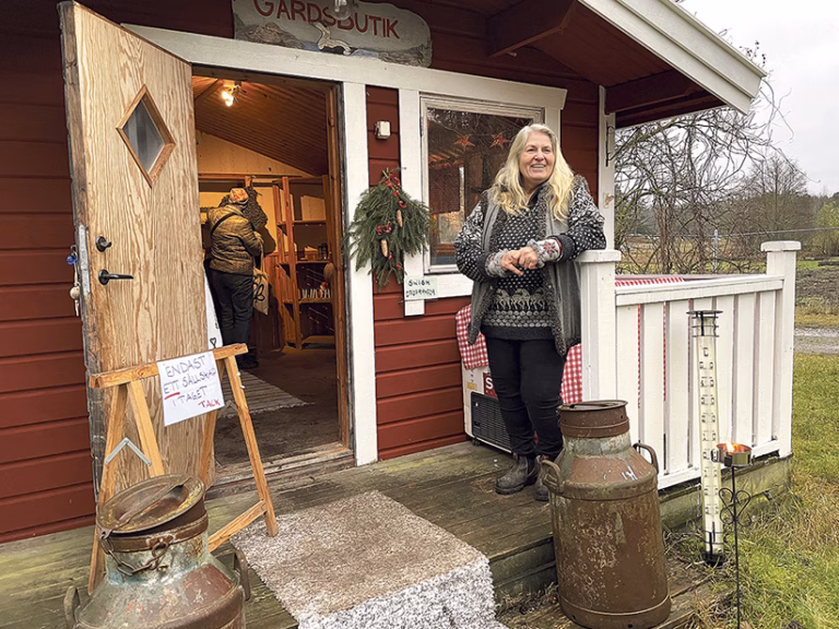 Succé för bilburen julrunda på Ornö