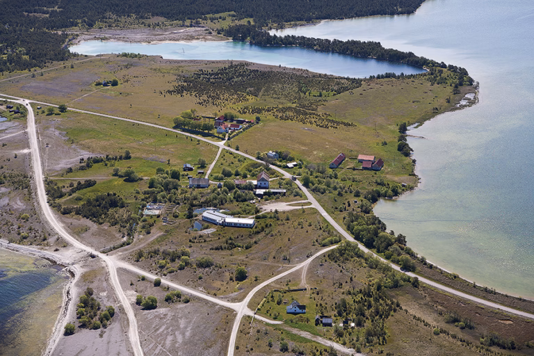 Hopp för torsken i nytt projekt