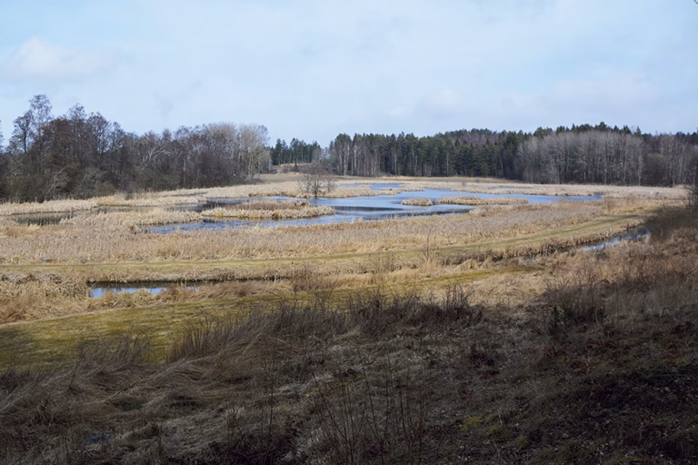 Storsatsning på naturvård i Östersjön