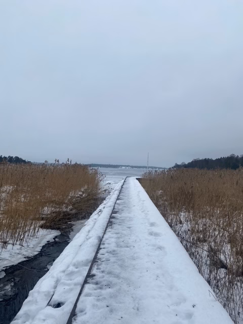 Så kan området kring Djurö skola utvecklas