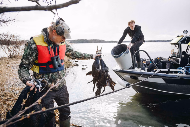 Utmanande jakt på listig fiskfångare